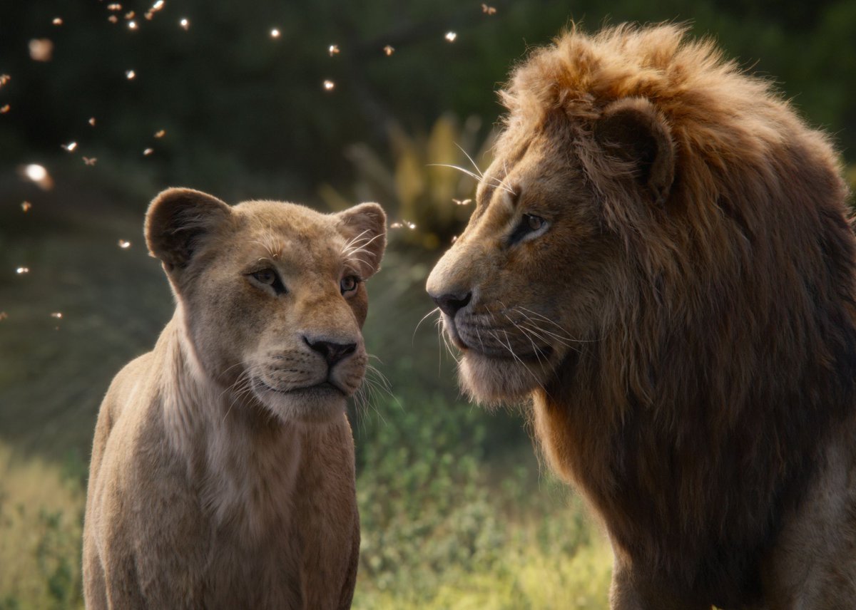 Polygon's tweet photo. The Lion King 2 is happening with the director of Moonlight, and there’s a prequel element https://t.co/Bn2v7fGYRW https://t.co/luGgxtxUTM
