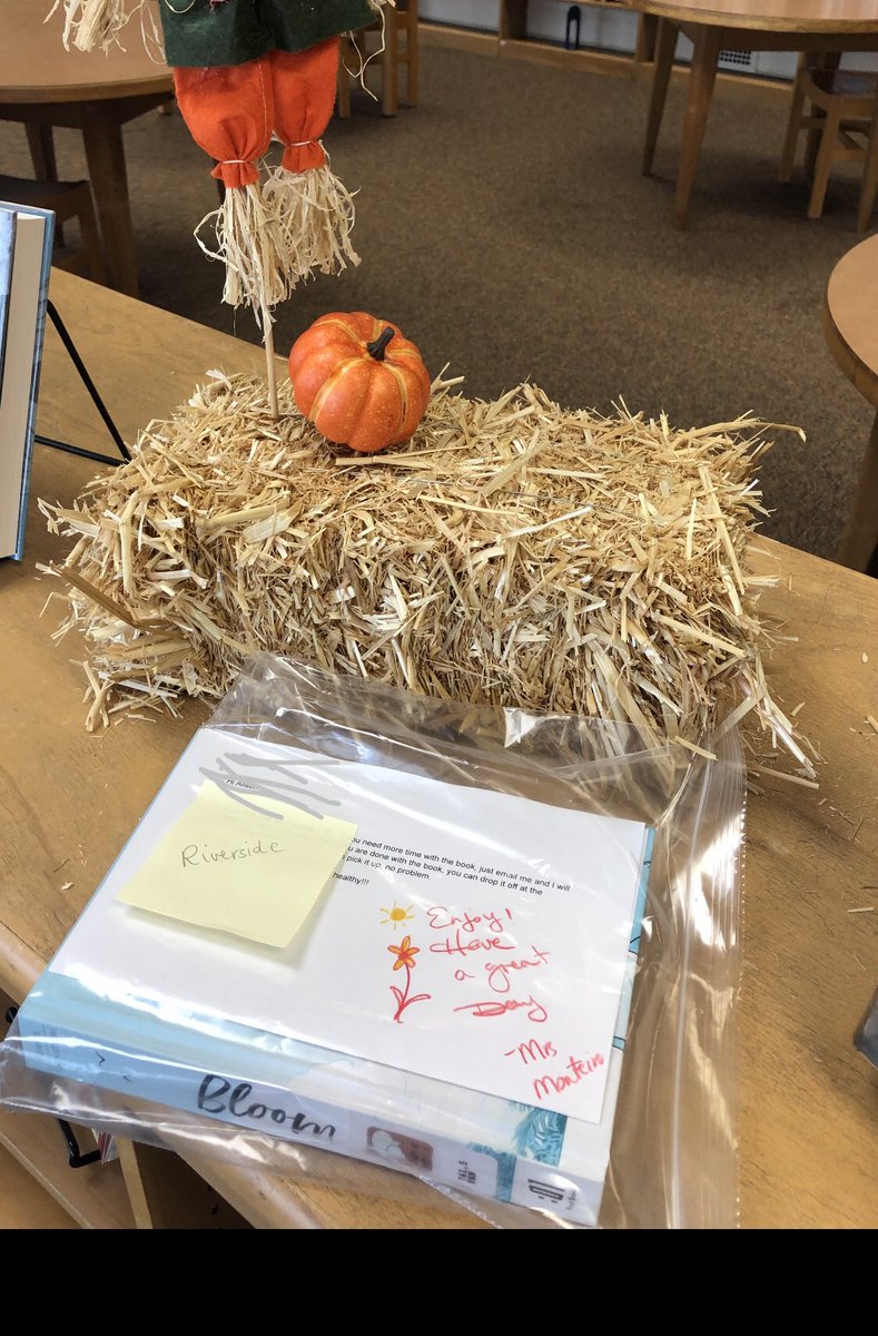 TheNewEnglandBookWorm tweet media