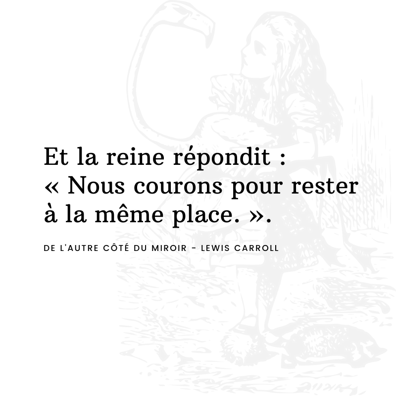 LES YÉTIS tweet media