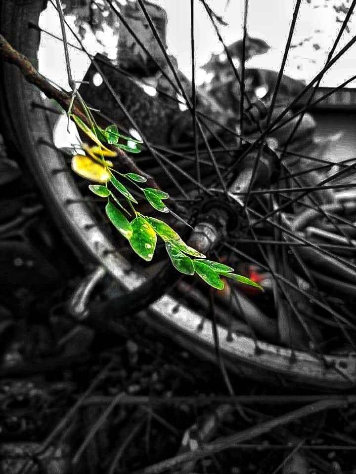 Dedrop4's tweet photo. BE THE STAR IN MY DARKNESS
......
.
#ehunter
#dedrop
#photography
#laycon https://t.co/jk7rAUhzMJ