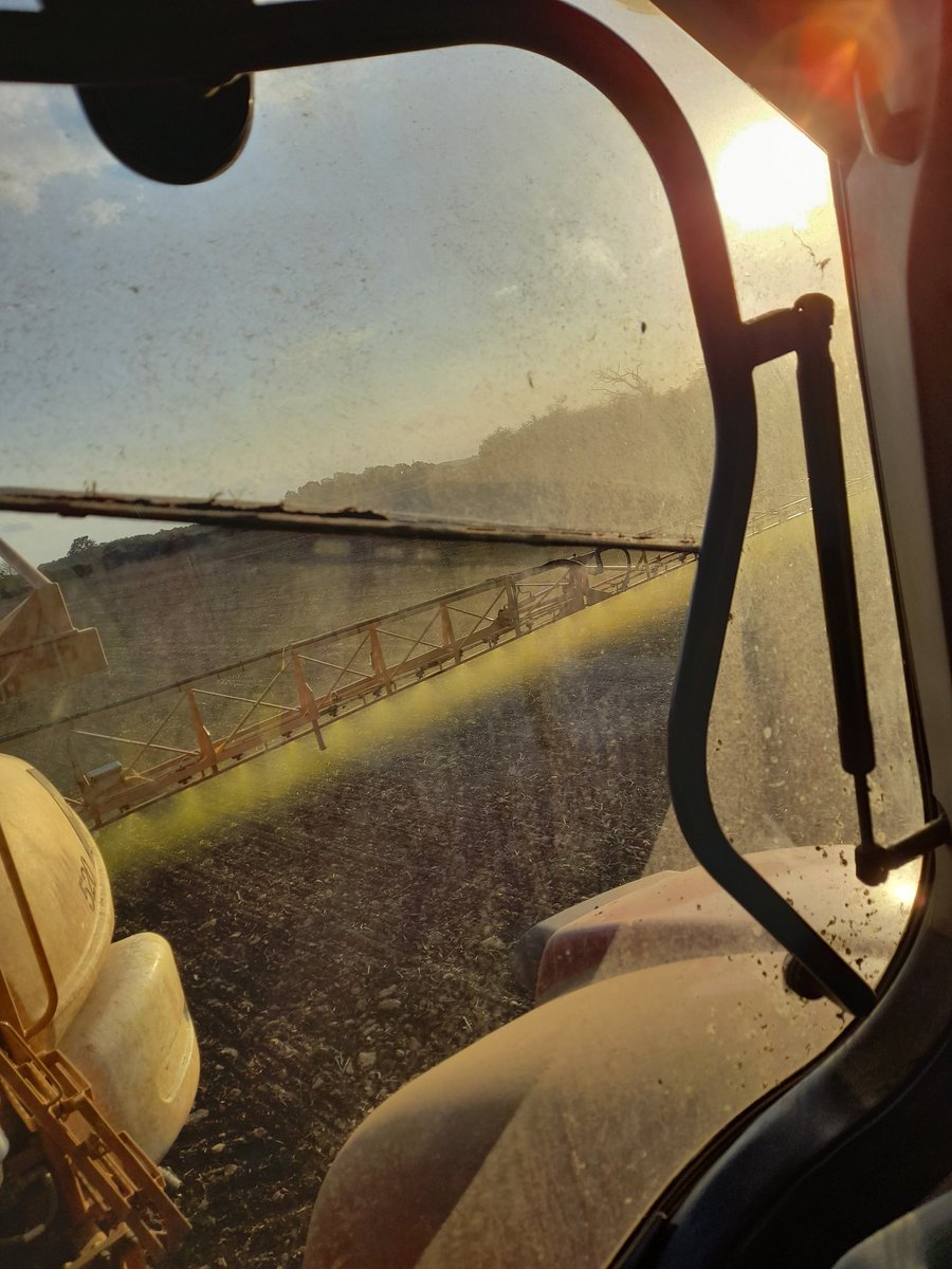 Lmillsy_135's tweet photo. Good to out cracking on with some wheat #preems this evening on some costello in perfect conditions! https://t.co/tIlBYdESbv