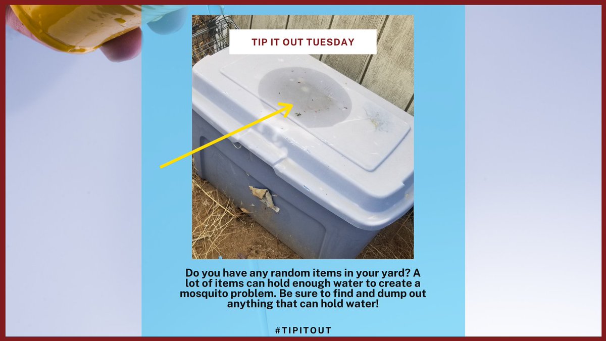 AVMosquito's tweet photo. It's Tuesday again! That means it's time for #TuesdayTips. There are many items around your property that can hold enough water to cause a mosquito problem. Once a week, walk your property and get rid of any standing water! #TipItOut #NoWaterNoMosquitoes #MosquitoControl https://t.co/JCcui9ioDf