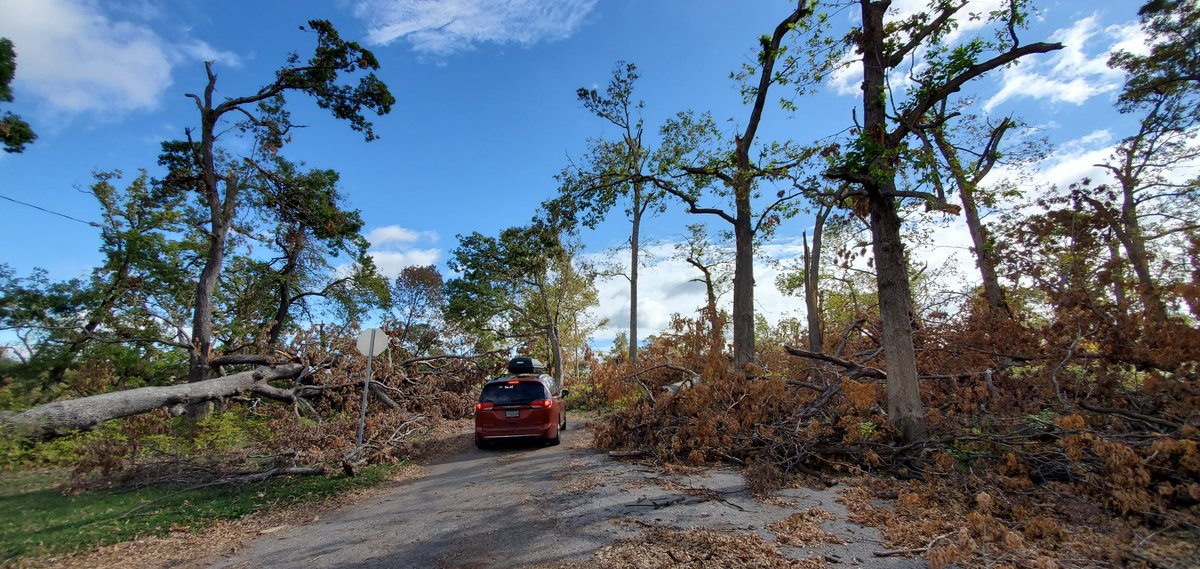 don_e_lyons's tweet photo. Seven weeks ago my hometown #inIowa was the epicenter of a #Derecho with sustained winds >100mph. Surveying today: the damage was devastating and clean up continues. Be well #CedarRapids! https://t.co/vPudHB2EUq