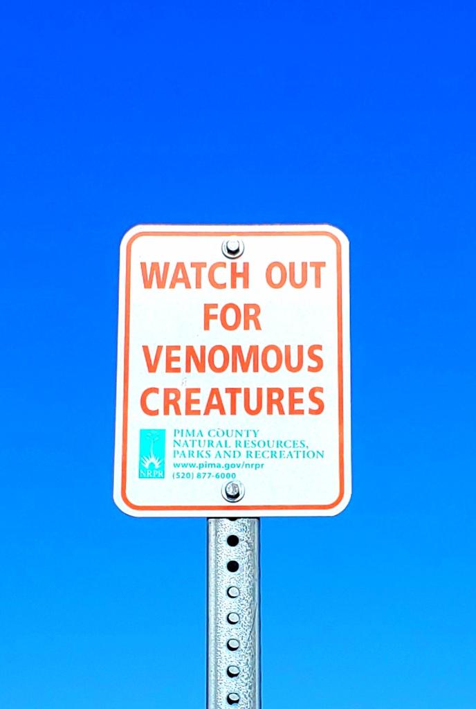 Kenoneputt's tweet photo. #seenwhilecycling #Tucson #julianwash https://t.co/7D3WE32Mlp