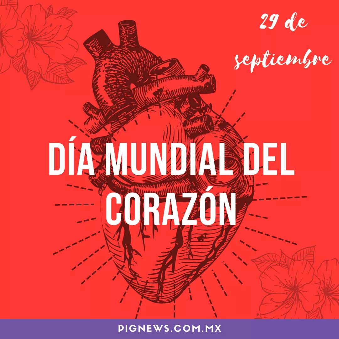 Hoy se conmemora el #DíaMundialDelCorazón.❤️
Los padecimientos cardiovasculares son la primera causa de #muerte en #México, de acuerdo con el IMSS.☠️❗

La #obesidad, la hipertensión arterial, el colesterol elevado y la #diabetes son factores que pueden provocar un infarto.💔💥