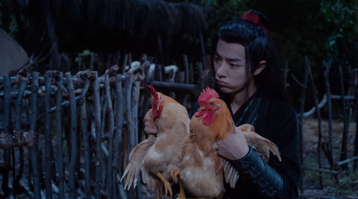 The chickens are now Sizhui's siblings