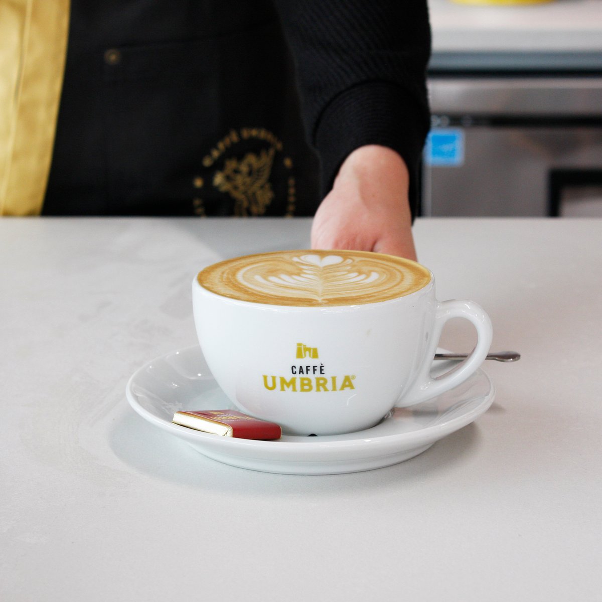 Caffe Umbria tweet media