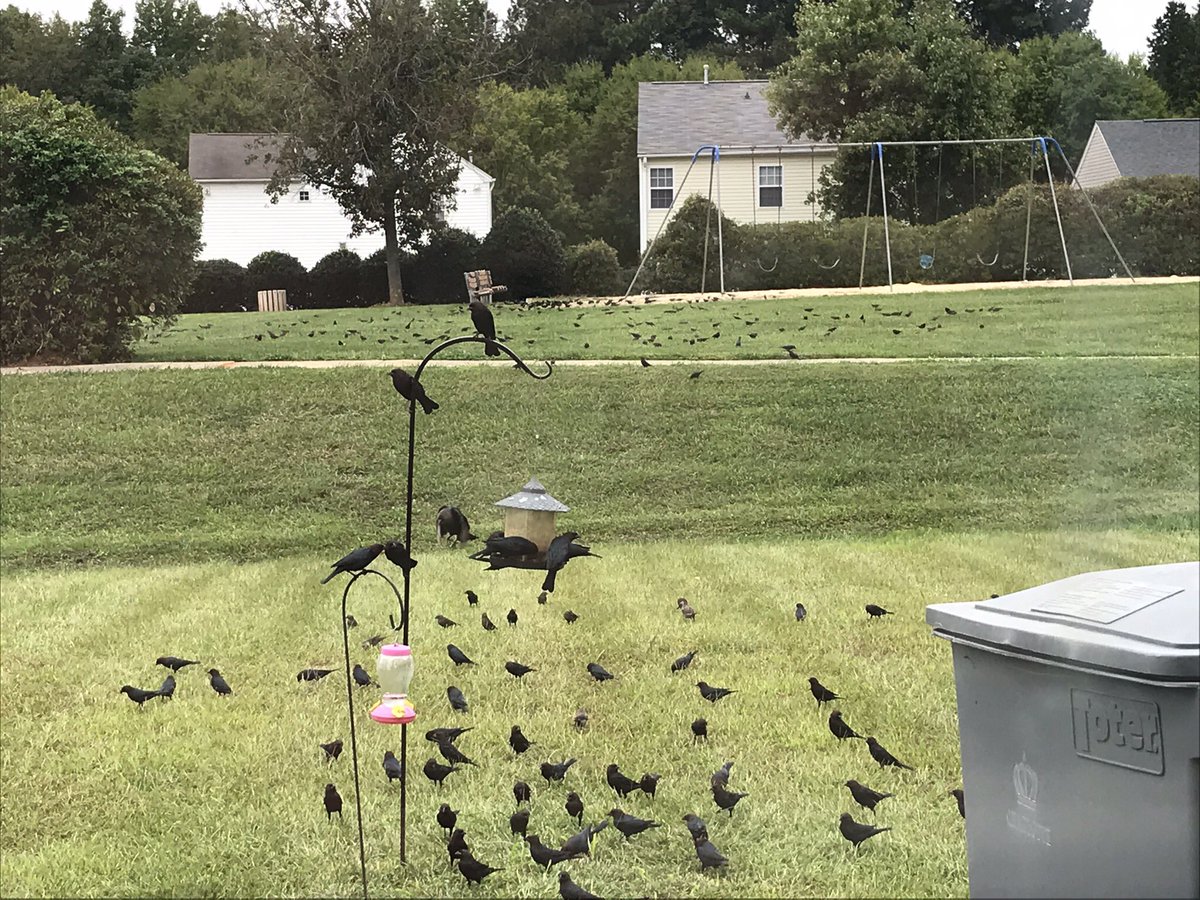 Matthew Friend tweet media