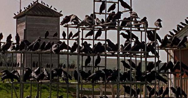 Matthew Nowacki tweet media