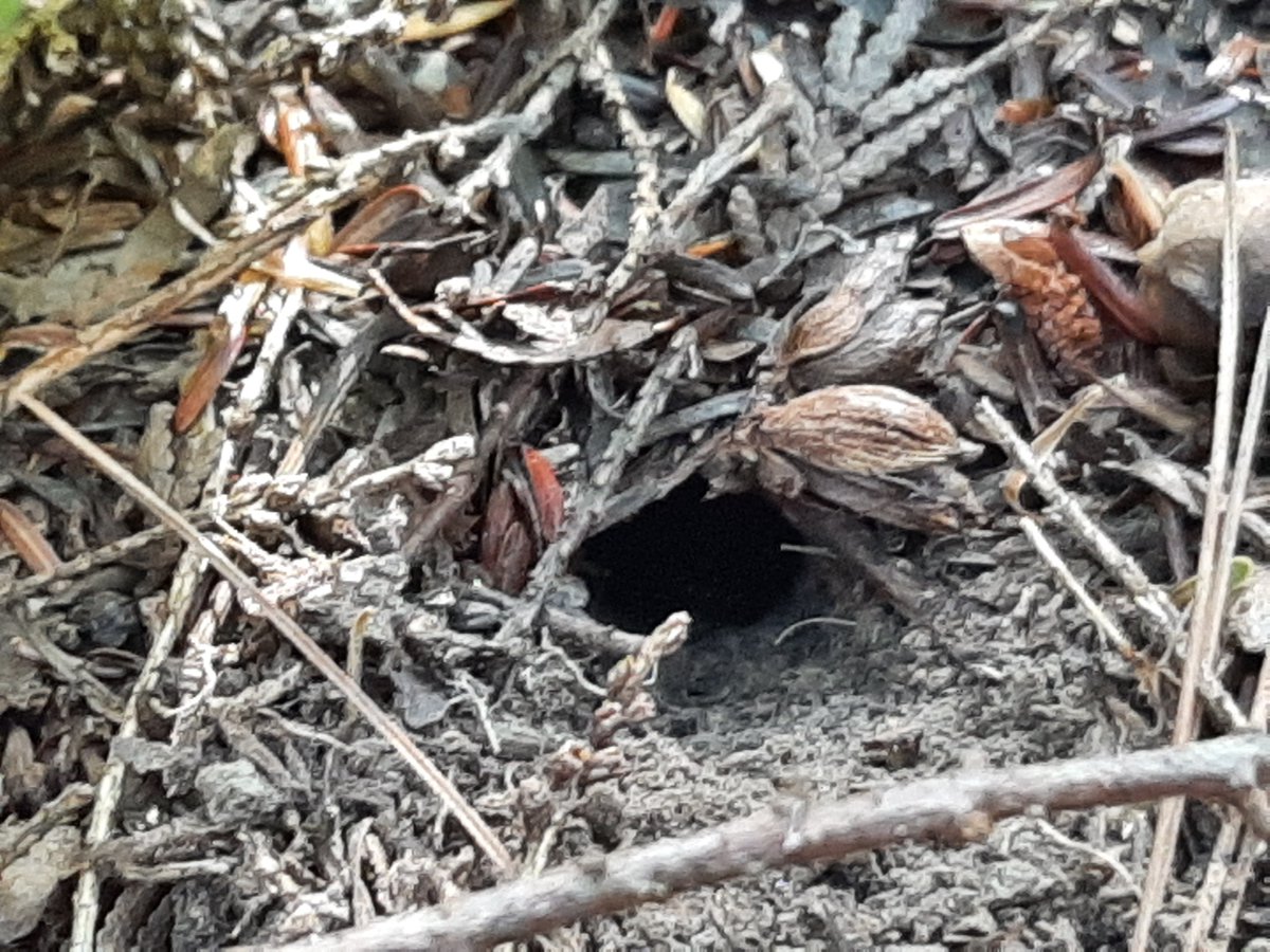 Sabrina Rondeau on Twitter: 