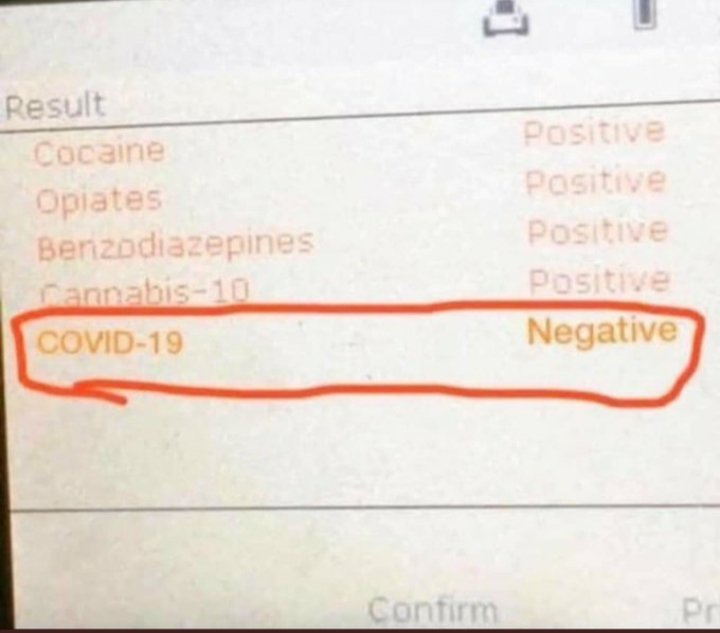 TheodoreBear14's tweet photo. With my upcoming debate tonight against Emily the commie, for Community College Student Body President, I was asked to take a test to ensure I don't have Covid. I passed the test!
#MCCGA #BearWave🐻🌊 https://t.co/8583J67Evo