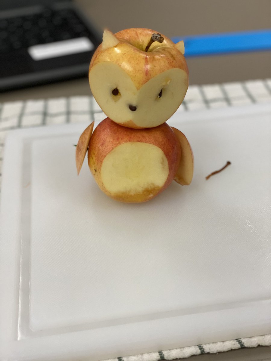 SFLPearson's tweet photo. Practicing knife cuts by making Apple Animals! #futurechefs #PatriotStrong #pearsonsfl https://t.co/EsShcpauH3