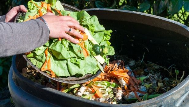 YesCommentRO's tweet image. Un român aruncă, în medie, 129 de kilograme de mâncare în fiecare an! Care sunt cele mai frecvente greșeli yescomment.ro/2020/09/29/un-…