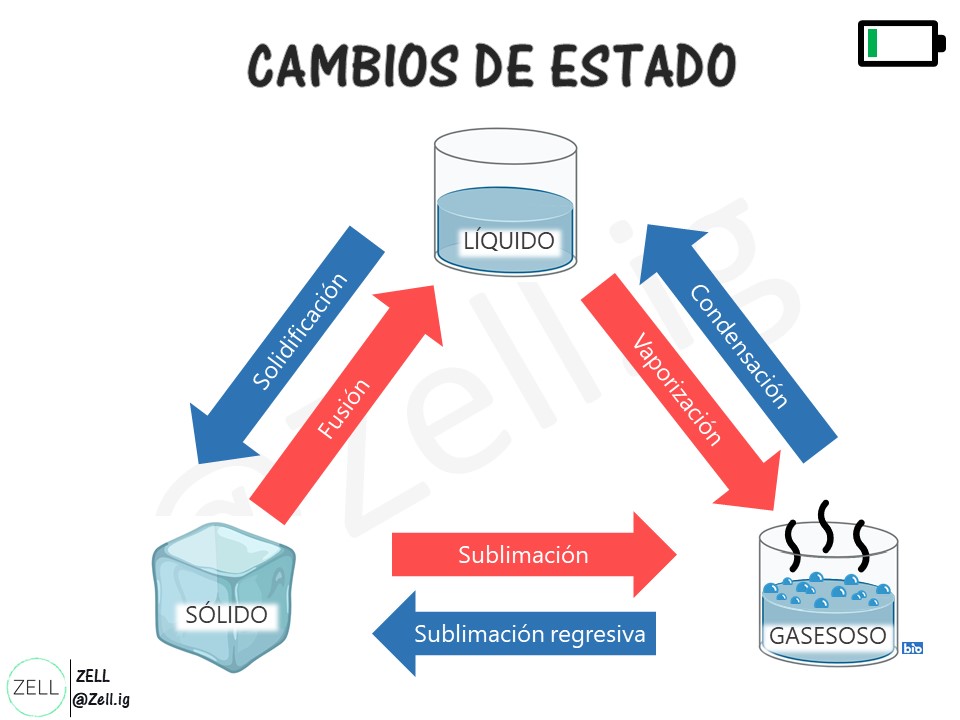 Proceso De Condensacion