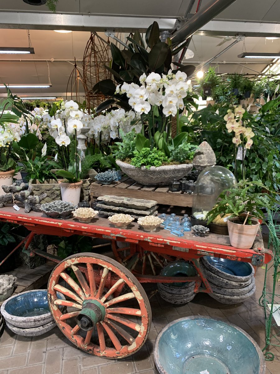 theFamilySK's tweet photo. & #garden. A remarkable selection of top quality #plants & #gardenalia that are all styled to sit along side each other in a stunning & imaginate way. #unique #retailexperience #brimmingwithideas #toomuchtochoosefrom #backagainsoon https://t.co/ggSsRRYYIT