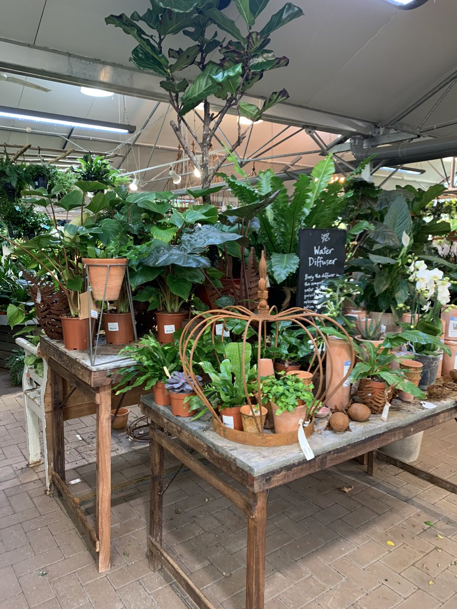 theFamilySK's tweet photo. & #garden. A remarkable selection of top quality #plants & #gardenalia that are all styled to sit along side each other in a stunning & imaginate way. #unique #retailexperience #brimmingwithideas #toomuchtochoosefrom #backagainsoon https://t.co/ggSsRRYYIT