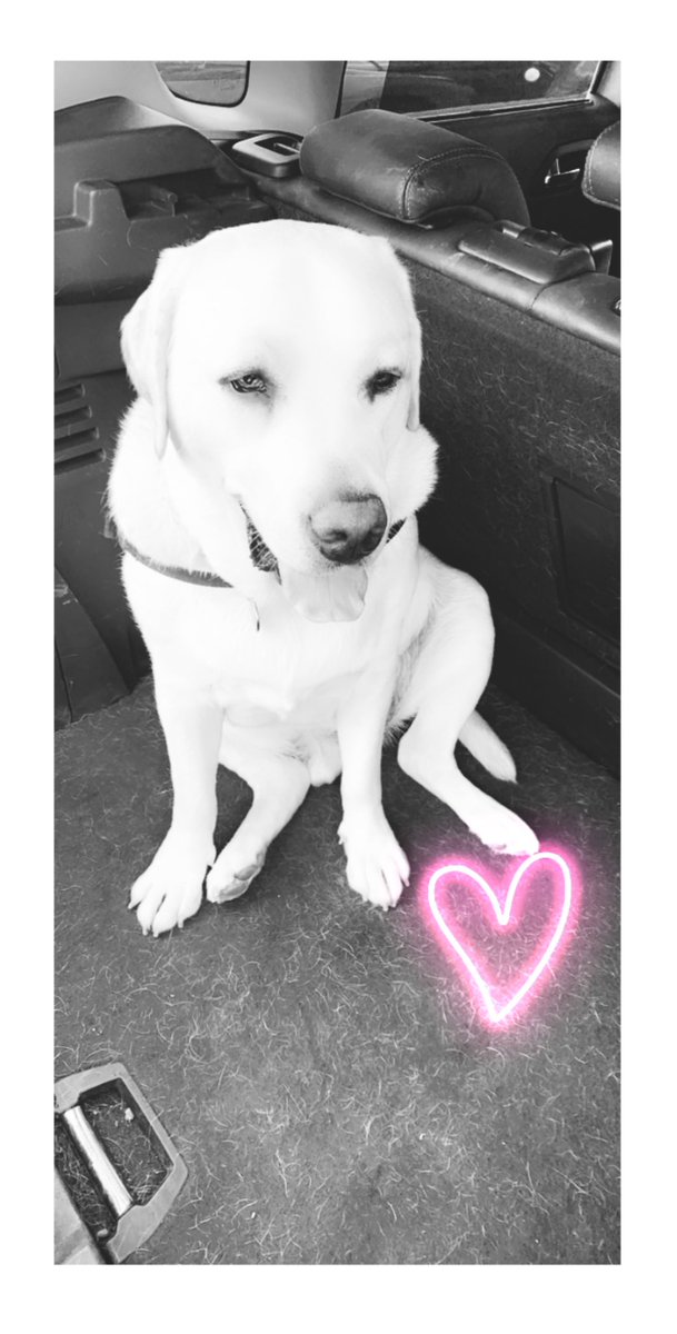 G & T - Podcast tweet media