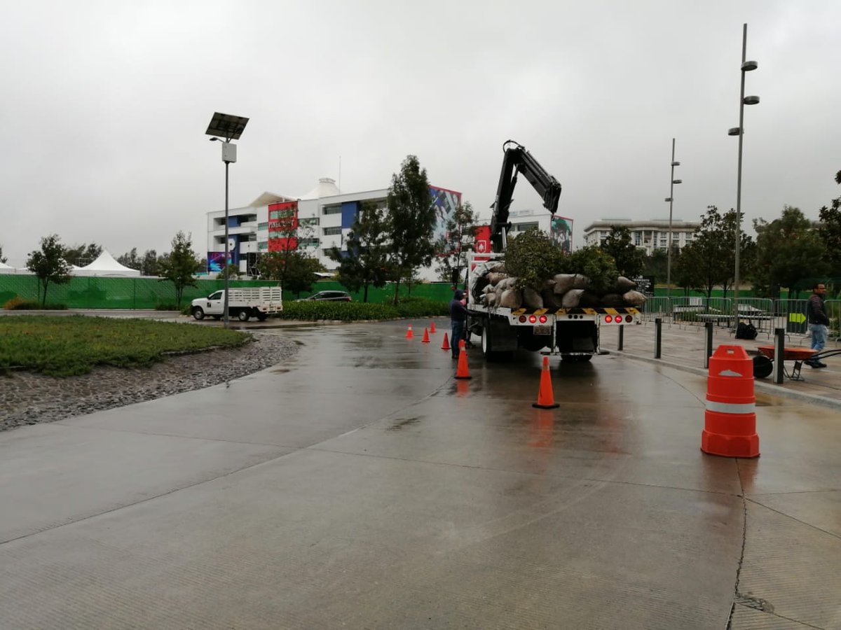 Esta lluviosa mañana, llegaron tres nuevos habitantes a La Mexicana: unos bellos y jóvenes encinos que crecerán y nos llenarán de verde y de vida. Su adquisición fue posible gracias a los donativos recaudados en la carrera de 31 horas. ¡Gracias a todos los que participaron!