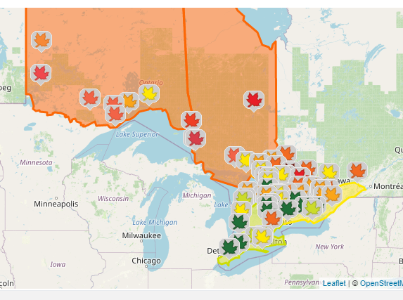 MLeavesForever's tweet photo. While it is difficult to predict when #fallcolours will peak, Ontario Parks has provided this nifty map that might help you plan your trip to various parts of the province:
https://t.co/eW57xpS5uG #mapleleavesforever #canadianmaples https://t.co/dgMHfvuau3