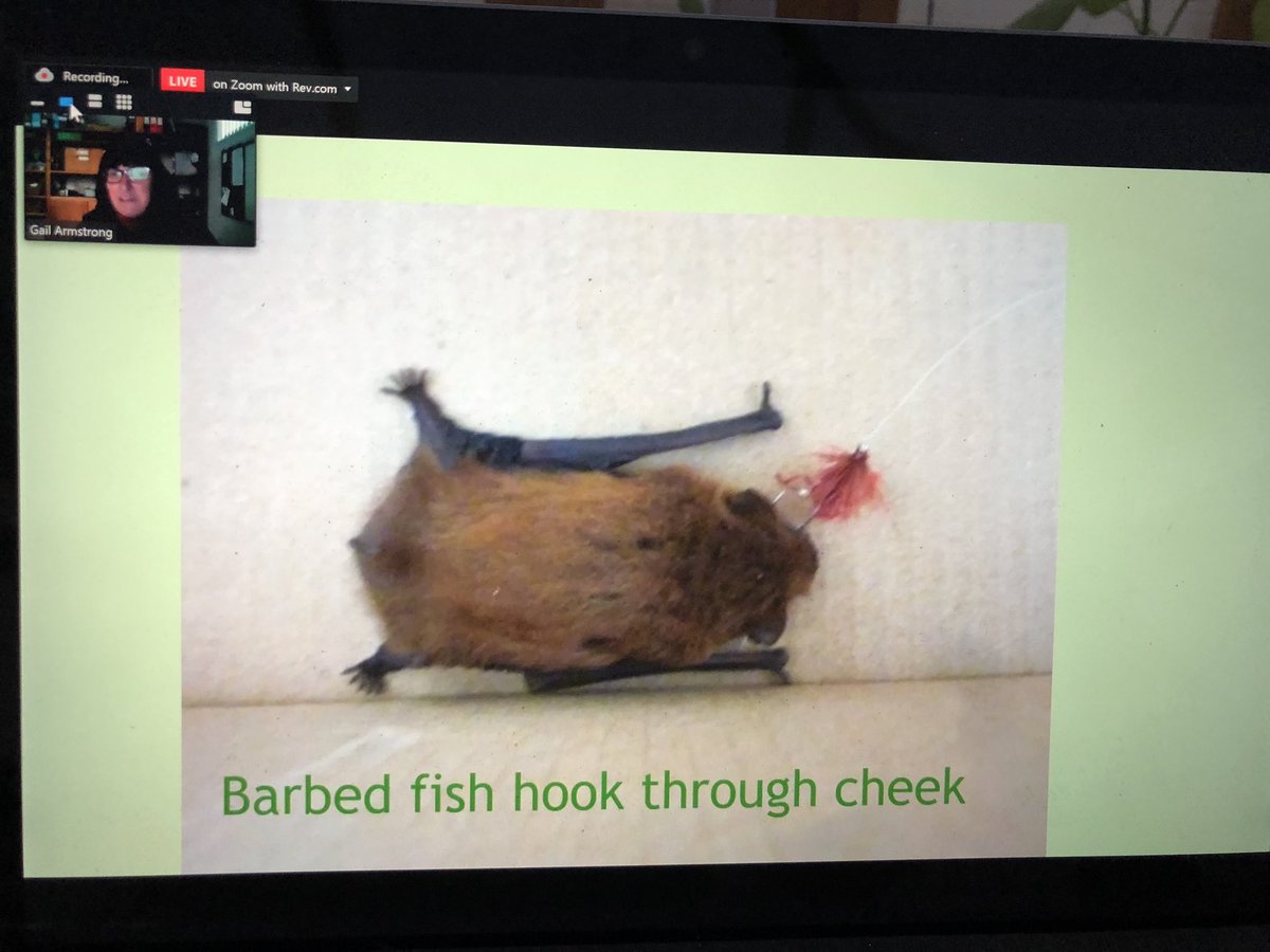 gail's bait and tackle