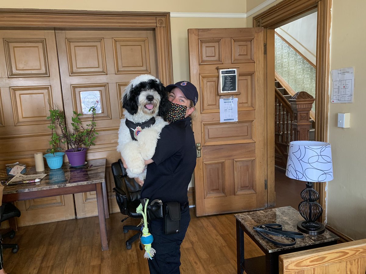 JohnHowardNL's tweet photo. So happy to meet Stella today at HowardHouse! What a great visit for residents and staff! @RNC_Stella @RNC_PoliceNL https://t.co/0K96OZYvBy