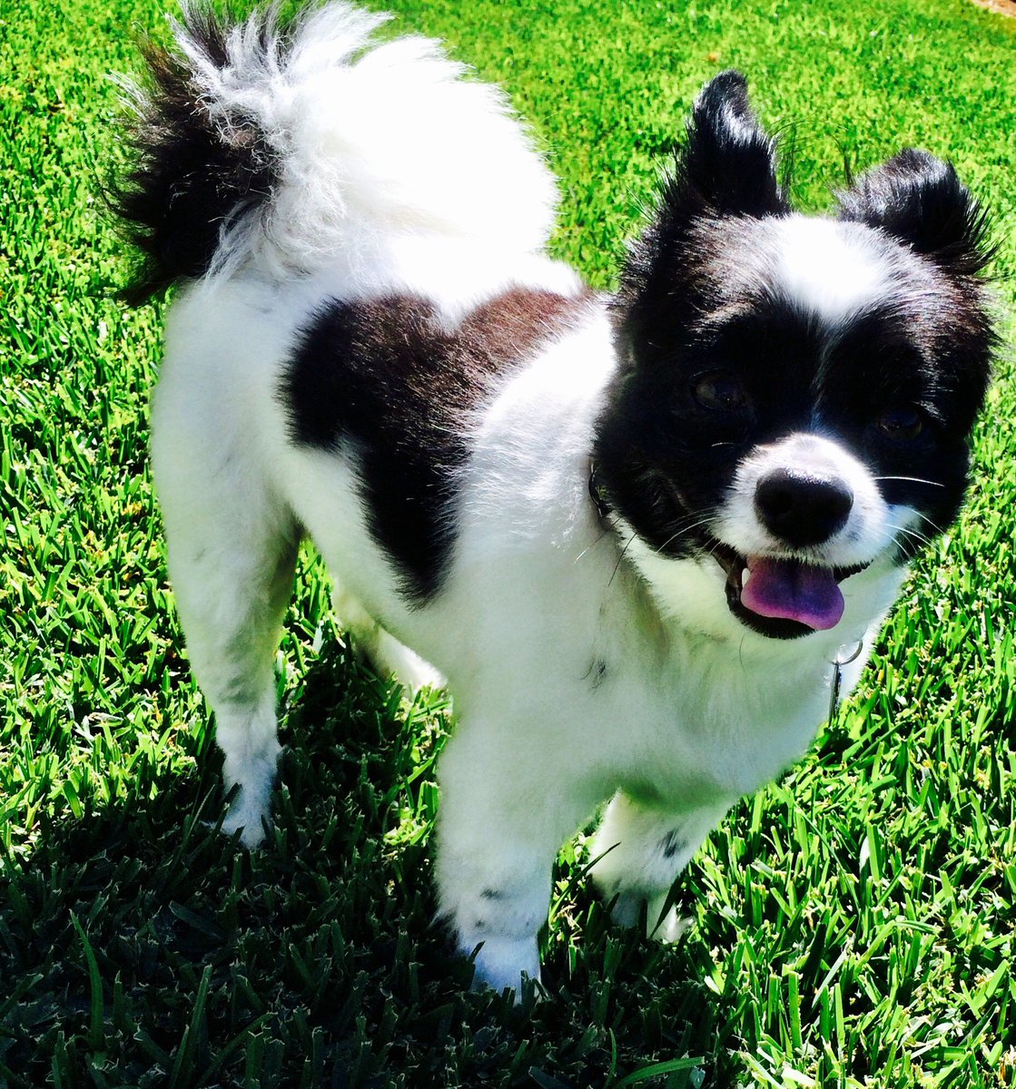 Ryan Brown tweet media