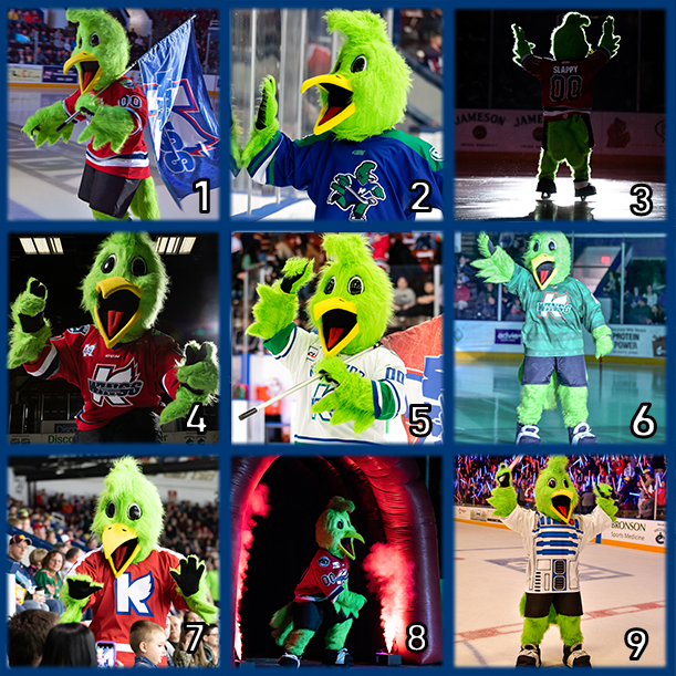 Okay all you bird lovers. Pick your favorite <a href="/SlappyKWings/">SlappyKalamazooWings</a> moment.