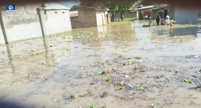 channelstv tweet picture