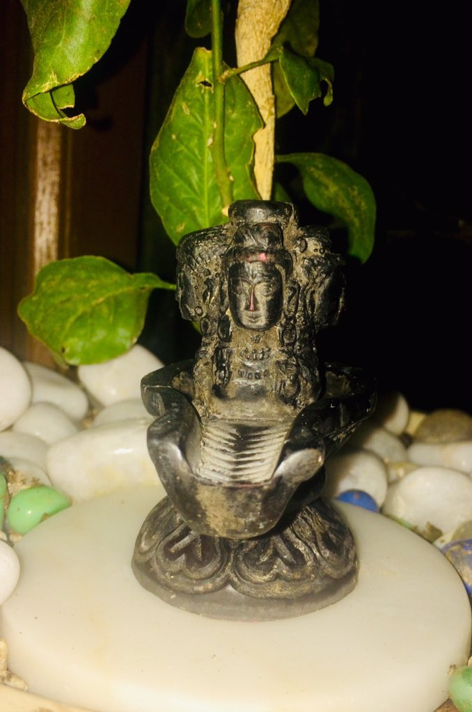 For all #SSRWarriors who are undeterred to Shift the Consciousness to ensure a safe future for all...bringing alive SSR’s dream of an elevated India #Shambo https://t.co/2Otk3i8AQq