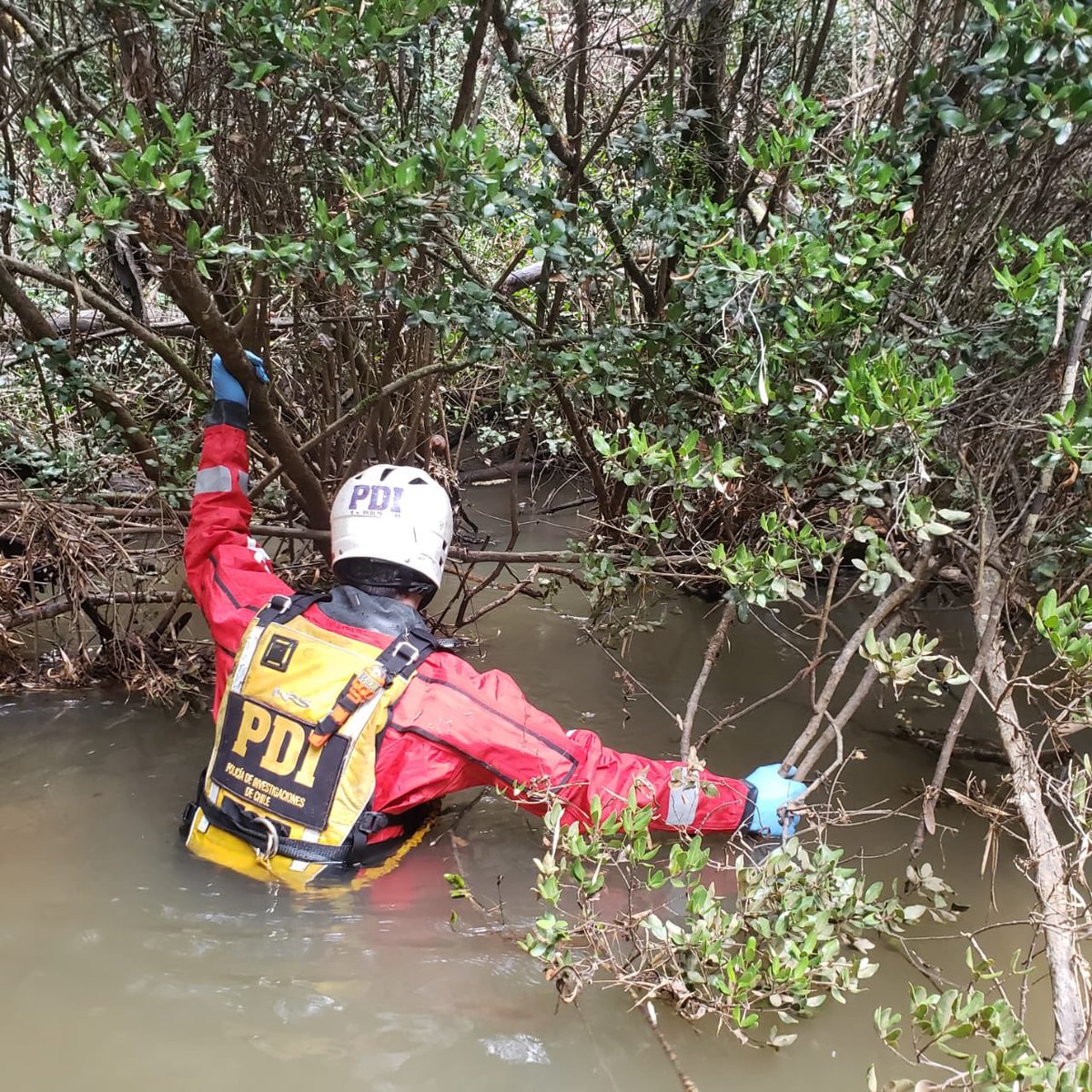 PDI_BIOBIO's tweet photo. #EquipodeBúsquedayRastreo de la #Briup trabaja en el estero Chupalla, sector Parque industrial en Curanilahue, para dar con el paradero de Moisés Abraham Velázquez Vallejos de 24 años desaparecido el 8 de agosto. #InvestigarEstaEnNuestroADN https://t.co/Yonnr728dj