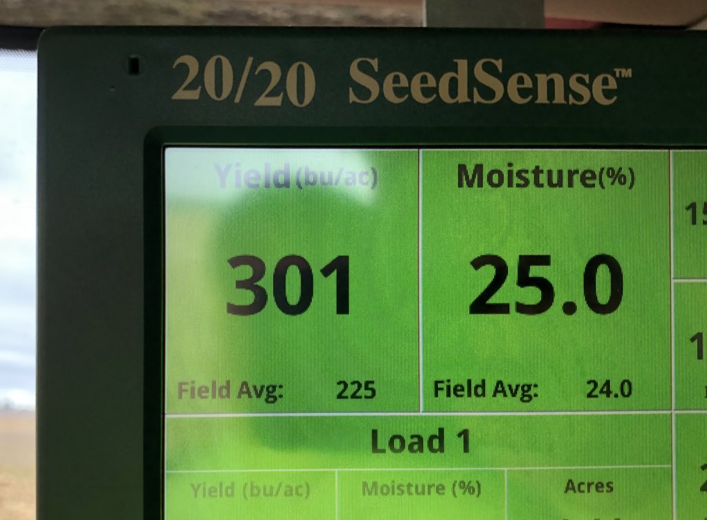 NWILTDR's tweet image. It looks like “normal” corn.
It grows like normal corn.
It combines like normal corn.
It yields like normal corn.
#ShortCorn