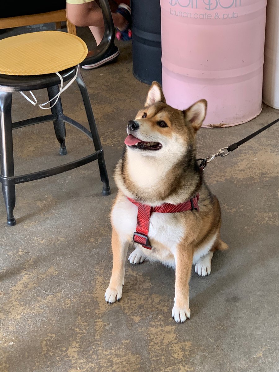 헐설마 (@zzosoon) on Twitter photo 