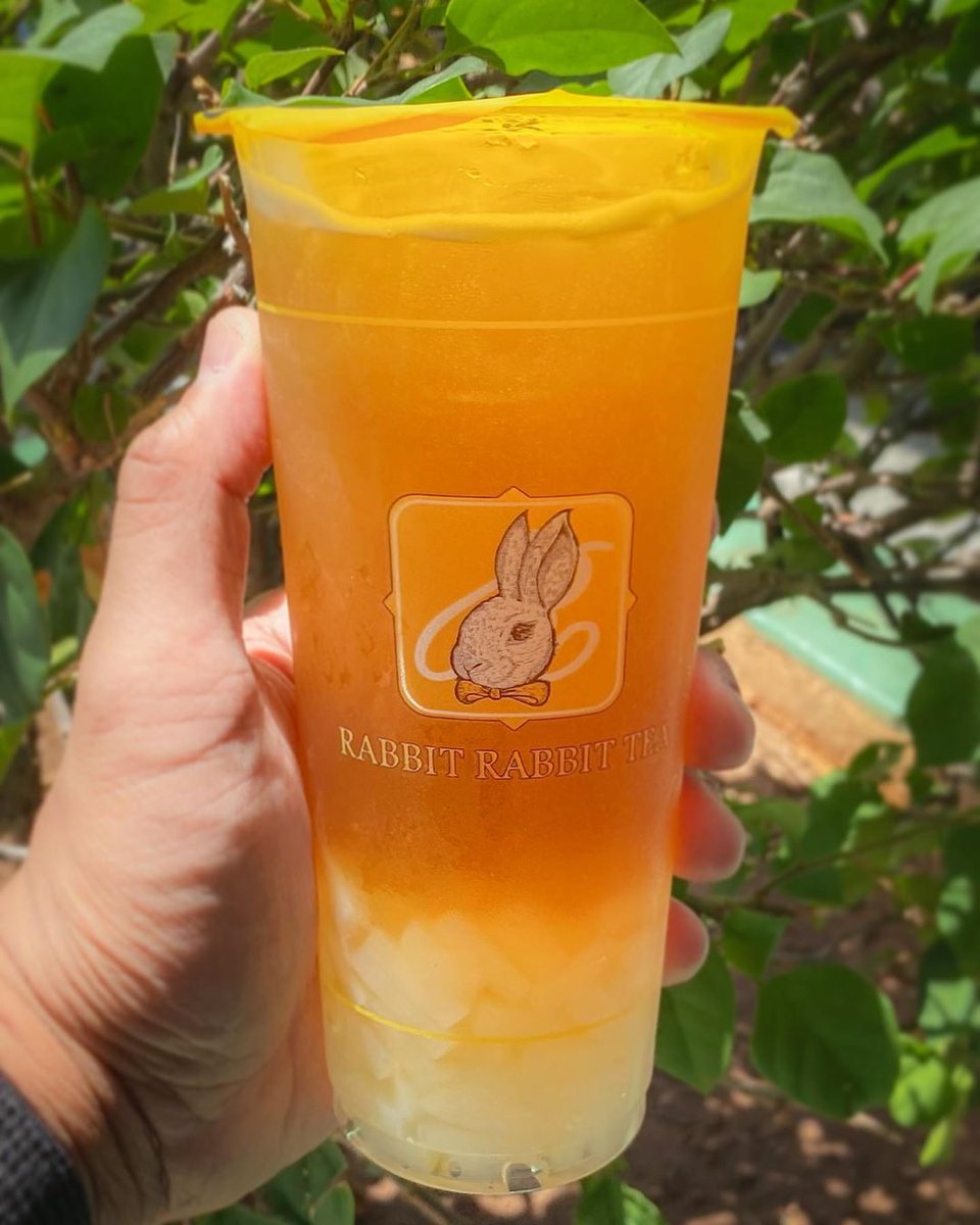 Rabbit Rabbit Tea (RabbitRabbitHI) Twitter