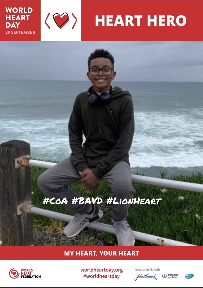 Carr254's tweet photo. Today is World Heart Day!! Braeden's heart condition is congenital, but you can do things for yourself to prevent Cardiovascular Diseases! Make a promise to live a more heart-healthy life. ❤️ #worldheartday2020 #CVD #CHD #CoA #BAVD https://t.co/AxD9Ic22aH