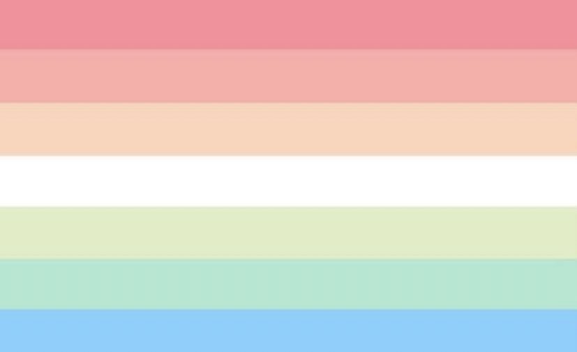 she/they flag