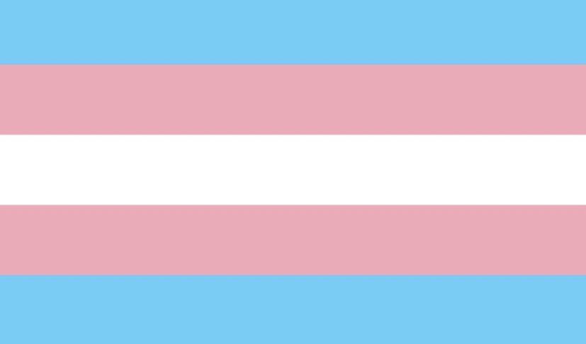 transgender flag