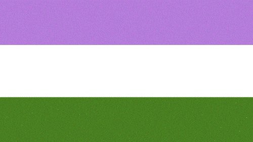 genderqueer flag