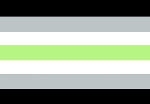 agender flag