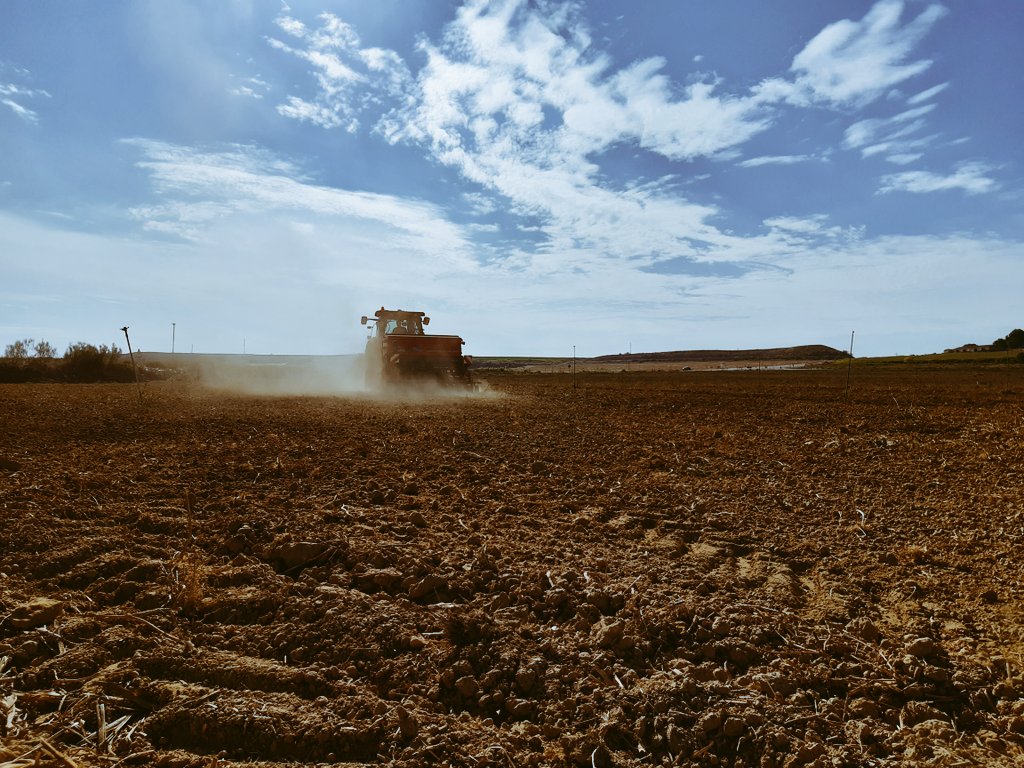 leyreVS's tweet photo. Hoy hemos estado sembrando LG Carlton CL en Capdesaso, Huesca. @LGSeedsES #colza https://t.co/CHv2oIC8j8