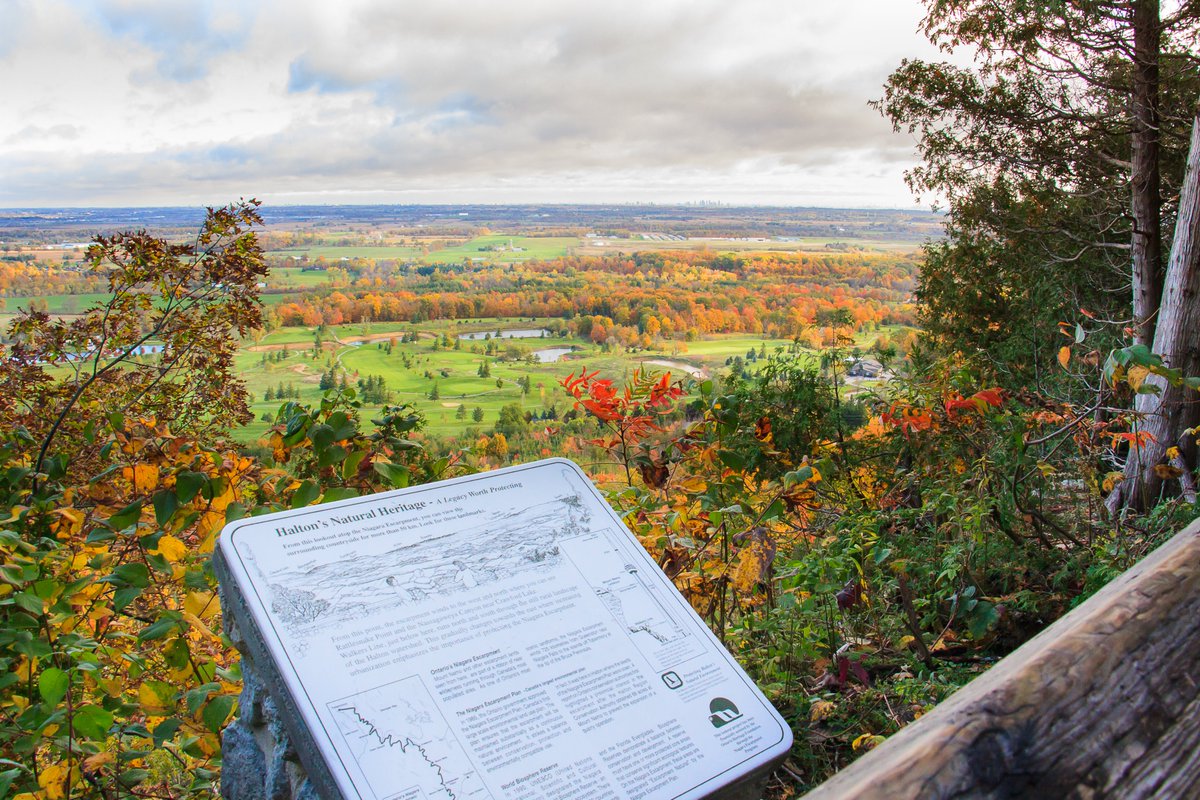 Did you know that this weekend all proceeds collected from gate admissions across all of the parks will be directed to the Conservation Halton Foundation? Join us this weekend for a hike to take in the beautiful fall colours while supporting our Foundation!🍂🍂