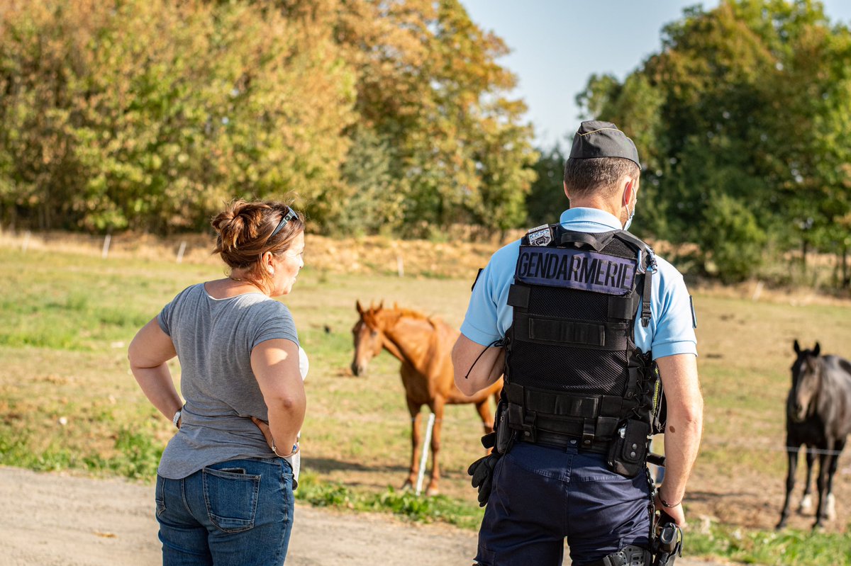 SamMks4's tweet photo. Surveillance accrue #gendarmerie #gendarme #gendarmerienationale #france #french #policeforce #frenchpolice #photo #photography #photographer #nikonphotography #photography #nikon #chevaux #equides https://t.co/hEKX5UStlO