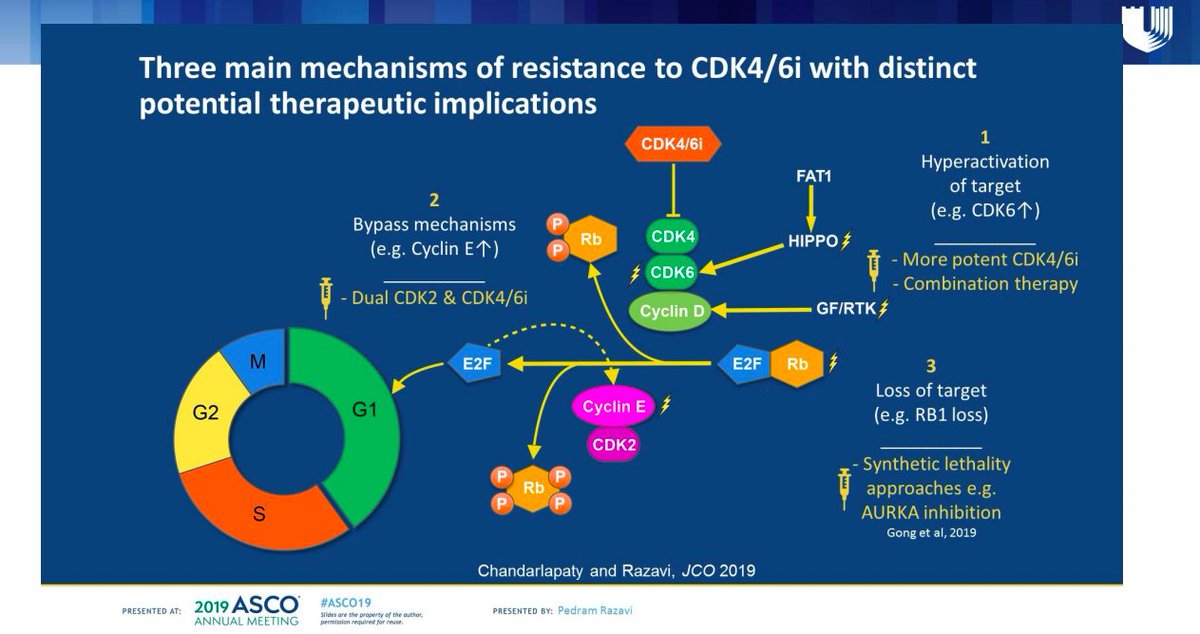 KomenNCTC's tweet photo. How cancer cells adapt to CDK4/6i per @CareyAnders1 of @DukeCancer
#mbcimpact #findingsolutions #metsbc https://t.co/oIWxaZzitk
