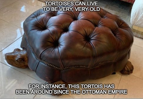 WPompion's tweet image. Oh hey, I like this look on Batthwack.