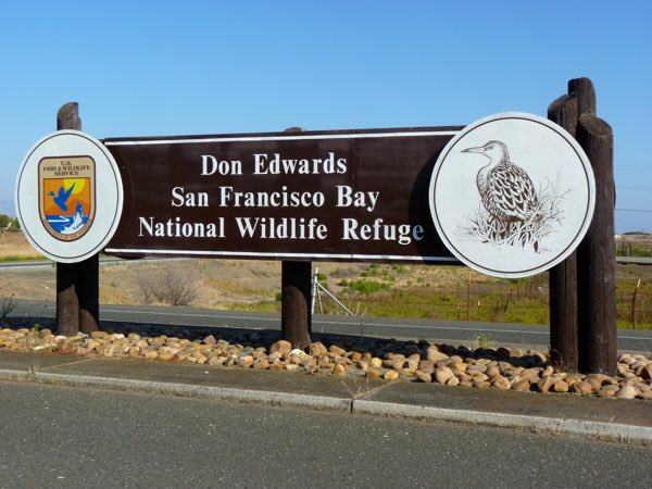 HungryBigCat's tweet photo. Happy Urban National Wildlife Refuge Day!! @USFWSRefuges https://t.co/4soTh2HzZ3