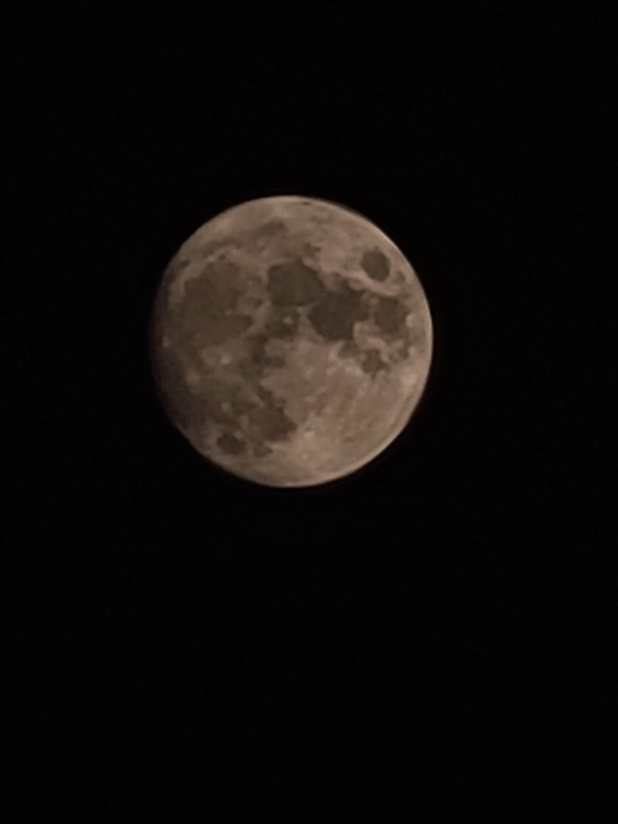 andronicusII's tweet image. The #moon magnified 58 times.