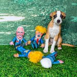 Photo by FUZZU (@fuzzutoys)