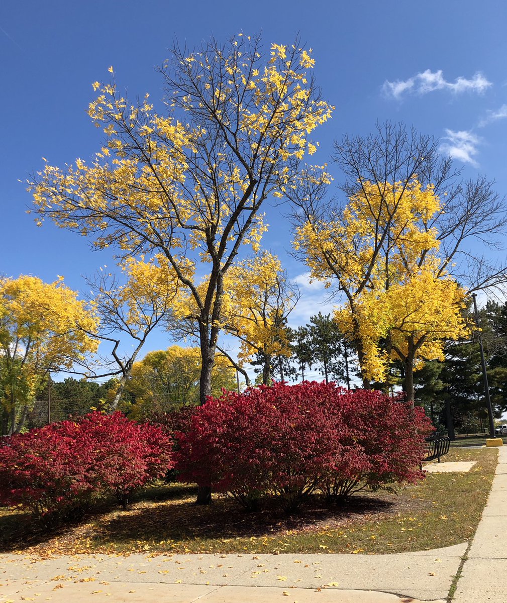 Fall <a href="/BarbieriSchool/">Barbieri Elementary School</a>. Can’t wait for our first group of  students to return next week! #duallanguage😷 💗