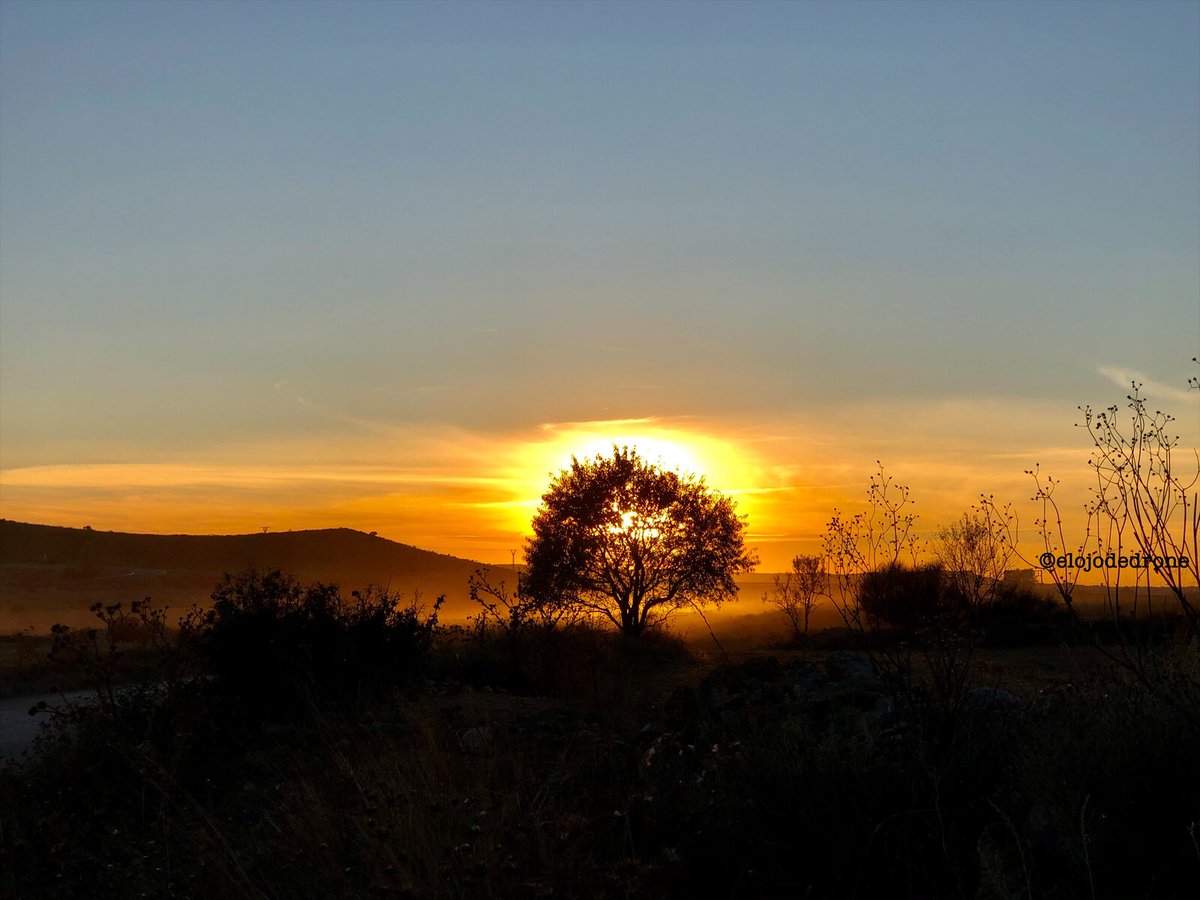 elojodedrone's tweet image. El sol en Almansa, tiene otro color!!
Lo que descubres despegando...
#almansa #despegando #sol #colores #atardecer #arbol #paisaje #naturaleza #castillalamancha #turismo #belleza #findeldia #buenasnoches #goodnight #sunset #mavic #djimavicmini #dji #drone @AlmansaCiudad