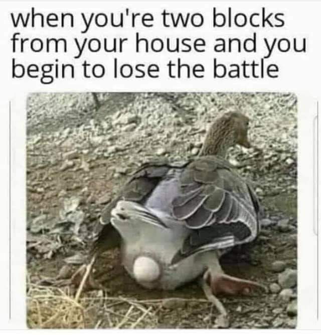 KARLD_LFC68's tweet image. Or Eric Dier against Chelski #spurschelsea