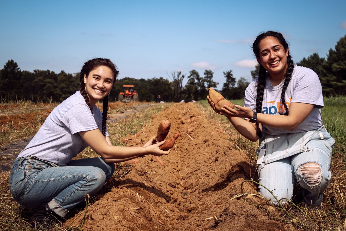 caprelo's tweet image. We are so proud of our team who harvested over 3,500 lbs of sweet potatoes to donate to local Virginia food banks! We are committed to giving back to the community by taking days of service together.

#togetherwearestronger #teamwork #HungerActionMonth #givingback